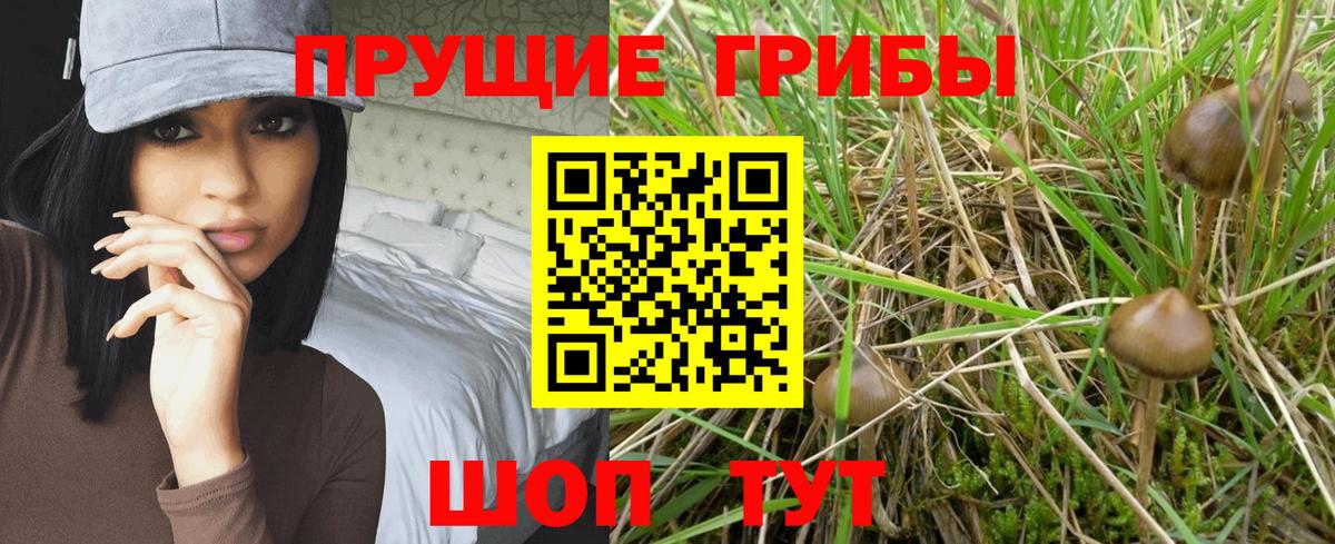 Псилоцибиновые грибы прущие грибы  Галлюциногенные грибы GOLDEN TEACHER  купить  цена  Вход с VPN  Коркино 